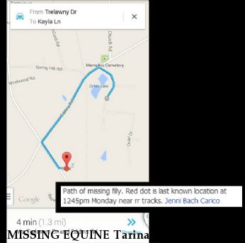 MISSING EQUINE Tarina, Near Dothan, AL, 36301